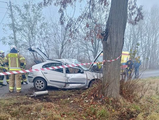 Prosto w drzewo. Kierowca pijany i poszkodowany