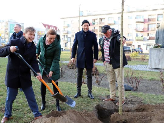 Przy pomniku Marii Konopnickiej posadzono 12 drzew ZDJĘCIA