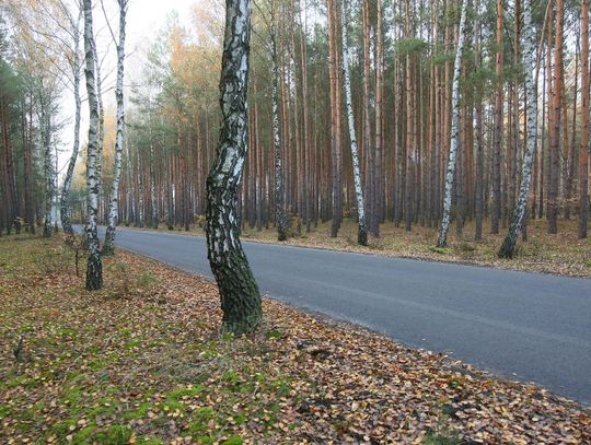 Przygodzice: drogi do najodleglejszych zakamarków gminy wyremontowane ZDJĘCIA