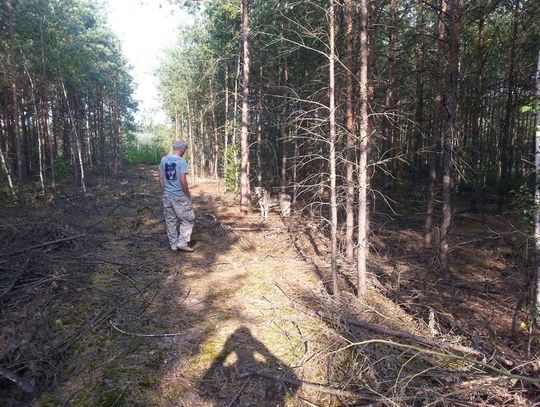 Przywiązał psa do drzewa i zostawił na pewną śmierć