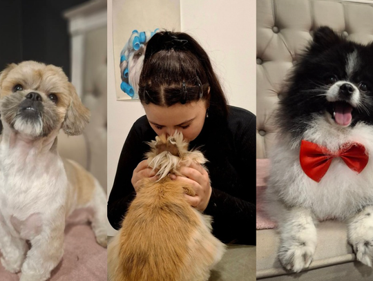 Pupile pod najlepszą opieką. 15 lat doświadczenia w sercu Kalisza ZDJĘCIA Pupile pod najlepszą opieką. 15 lat doświadczenia w sercu Kalisza ZDJĘCIA