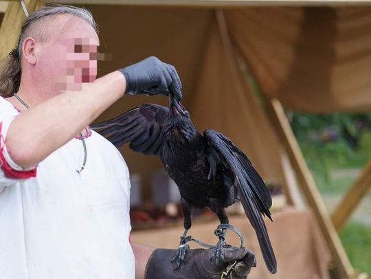 Robert K. „Wiking” z aktem oskarżenia. Pokrzywdzone trzy osoby