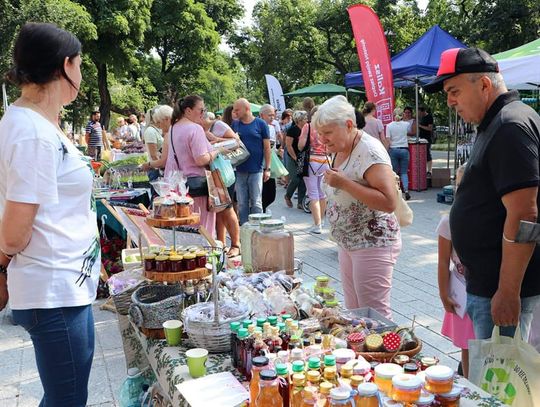 Rośliny, stoiska promocyjne i niespodzianki. Przed nami 4. targ kwiatowy