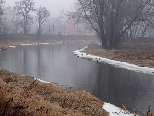 Rośnie poziom wody w Prośnie i Swędrni