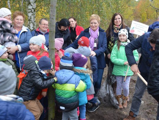 Rozdano 3 tysiące sadzonek drzew ZDJĘCIA