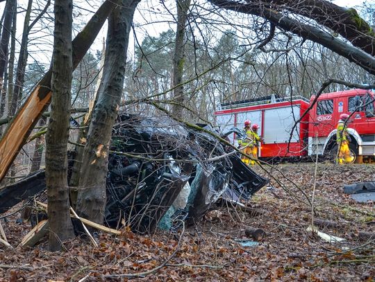 Roztrzaskane audi w rowie. Kierowcę z wraku wyciągali świadkowie