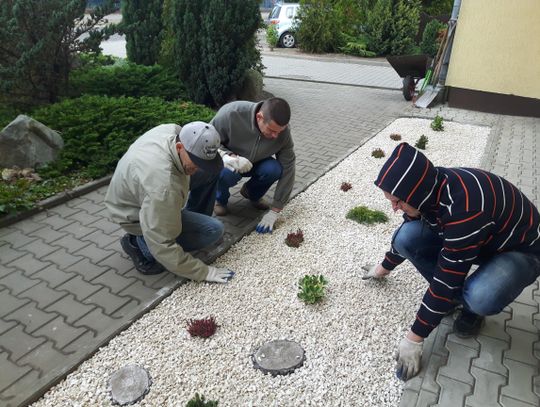 Rzeźbili w warzywach - kurs carvingu dla niepełnosprawnych