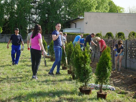 Sadzenie drzew w Sulisławicach WIDEO i ZDJĘCIA