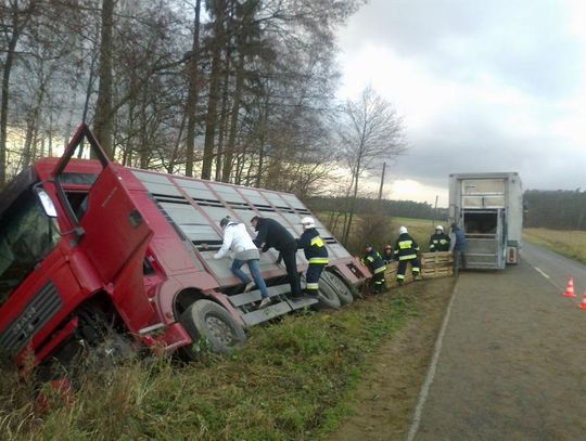 Samochód pełen zwierząt przewrócił się się do rowu