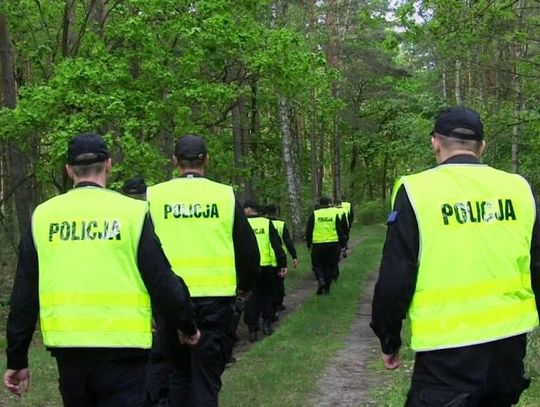 Schował towar za pół miliona. Policja sprawdziła pięć adresów