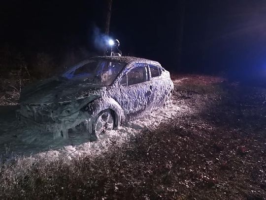 Skradziona w Kaliszu toyota spłonęła w lesie w Łódzkiem. Policja szuka świadków ZDJĘCIA