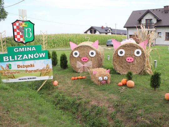 Słomiane ,,witacze'' robią furorę. Tak gmina Blizanów zaprasza na dożynki!