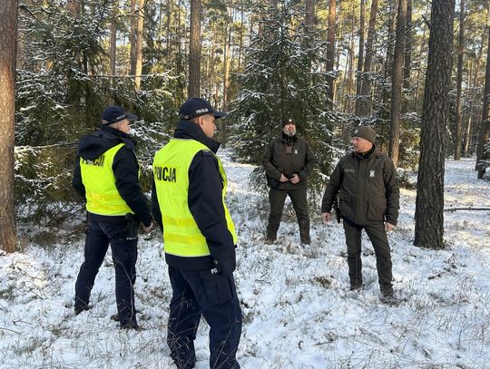 Służby poszły w las. Pilnują bardzo chodliwego towaru