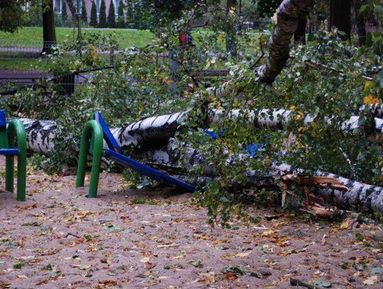 Służby szacują straty po wichurze. „Nie korzystać z parków i placów zabaw”