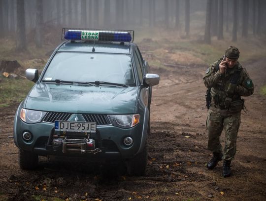 Służby w las. Trwa akcja leśników i policjantów