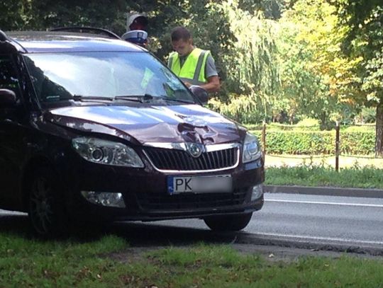 Śmiertelne potrącenie na przejściu dla pieszych ZDJĘCIA