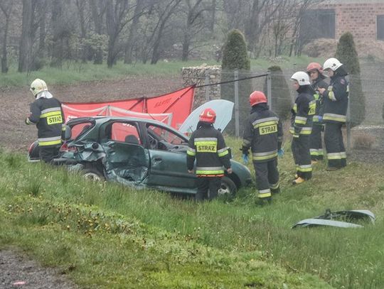 Śmiertelny wypadek na trasie Kalisz – Ostrów ZDJĘCIA