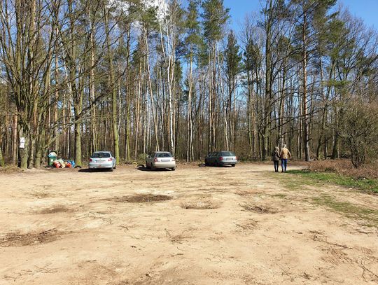 Spacer po lesie – tak. Ale z dala od innych i najwyżej w dwie osoby, lub w gronie najbliższej rodziny