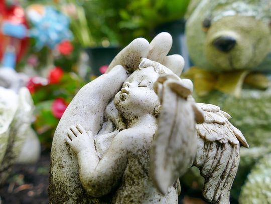 Stracili dziecko. Tu znajdują WSPARCIE