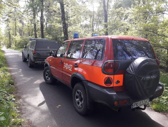 Strażacy sprawdzali bezpieczeństwo pożarowe w lasach