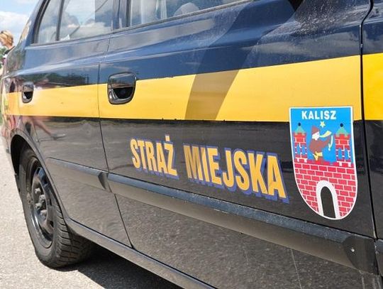 Strażnicy miejscy pomagają odpalić samochody