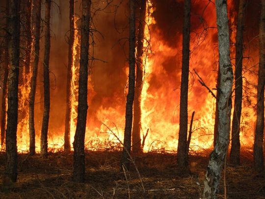 Sucho jak na pustyni. Najwyższy stopień zagrożenia