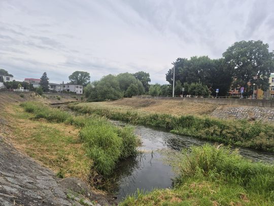 Susza hydrologiczna. W Prośnie wody coraz mniej