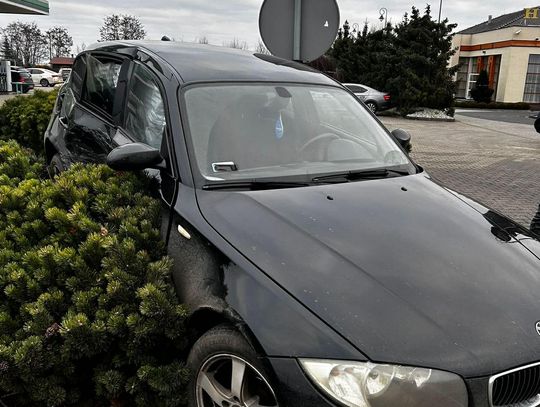 Świąteczne roztargnienie? Zderzenie BMW z Fordem ZDJĘCIA