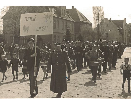 Święto Lasu – wielkie sadzenie drzew na starych fotografiach. OKL zaprasza na wystawę