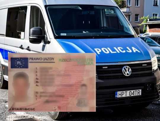 Szczyt głupoty? Chciał „legalnie” jeździć po Polsce. Kupił prawo jazdy w sieci Szczyt głupoty? Chciał „legalnie” jeździć po Polsce. Kupił prawo jazdy w sieci