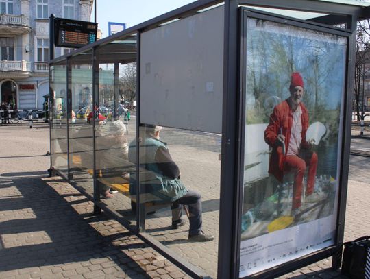 Sztuka na przystankach autobusowych ZDJĘCIA