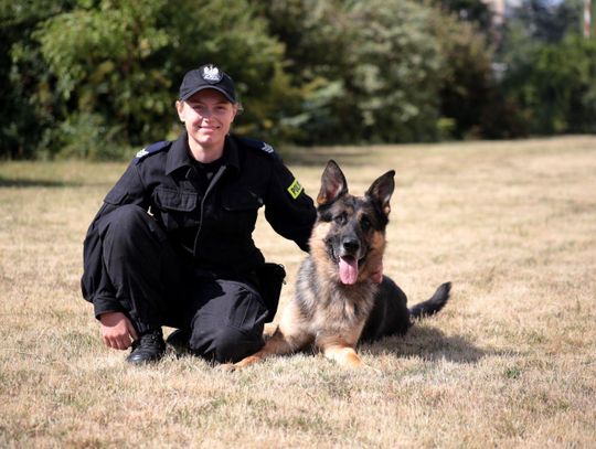 Szukają ludzi, narkotyków i ładunków wybuchowych. W szeregach kaliskiej policji służy 8 psów ZDJĘCIA