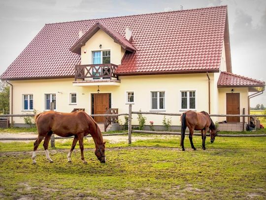 Szukają najlepszego gospodarstwa agroturystycznego