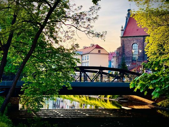 Szukasz pracy? W tym tygodniu sporo nowych ofert GIEŁDA PRACY