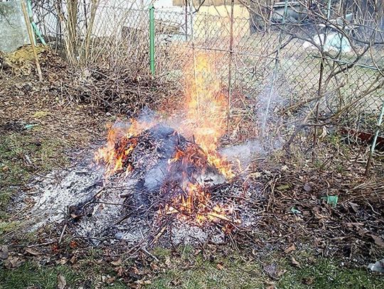 Tak działkowiec pozbywał się odpadów. Słono za to zapłacił ZDJĘCIA