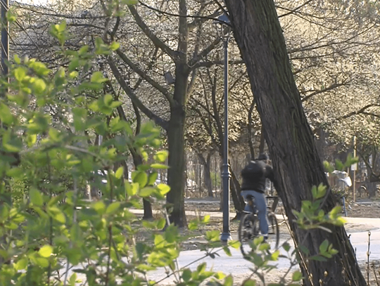 Tak zmieniają się Kaliskie Planty WIDEO