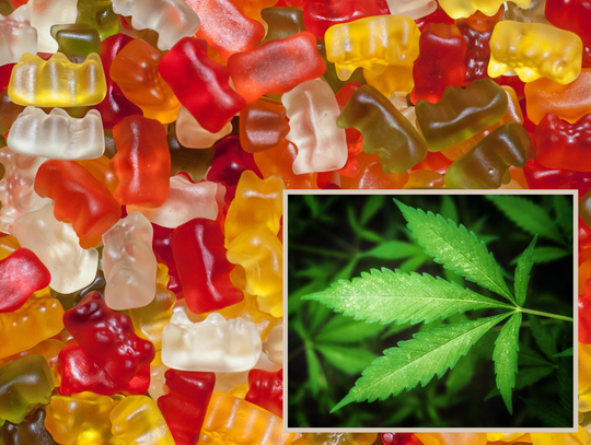 THC w żelkach! Produkt firmy z Kalisza znika ze sprzedaży 𝐒𝐀𝐍𝐄𝐏𝐈𝐃 𝐎𝐒𝐓𝐑𝐙𝐄𝐆𝐀
