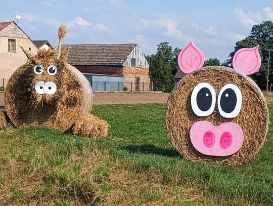 Tradycja, koncert, zabawa taneczna. Przed nami ostatnie dożynki w powiecie kaliskim
