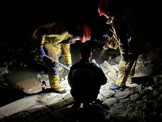 „Tragedia, dzwonię na policję”. Nocna akcja na Prośnie