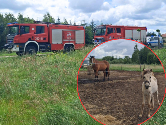 Tragedia na stadninie. Zerwana linia energetyczna