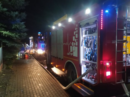 Tragedia rodzinna w Wielkopolsce. Nie żyje matka i dwie dziewczynki