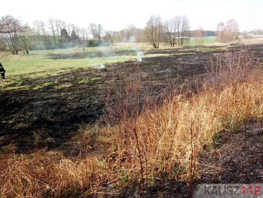 Tragedia w Cieni Drugiej. Mężczyzna zginął podczas gaszenia pożaru nieużytków ZDJĘCIA