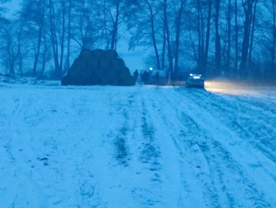 Tragiczny finał poszukiwań 30-letniej Wioletty. Zwłoki leżały w polu