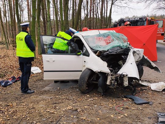 Tragiczny wypadek w regionie. Nie żyje młody kierowca ZDJĘCIA