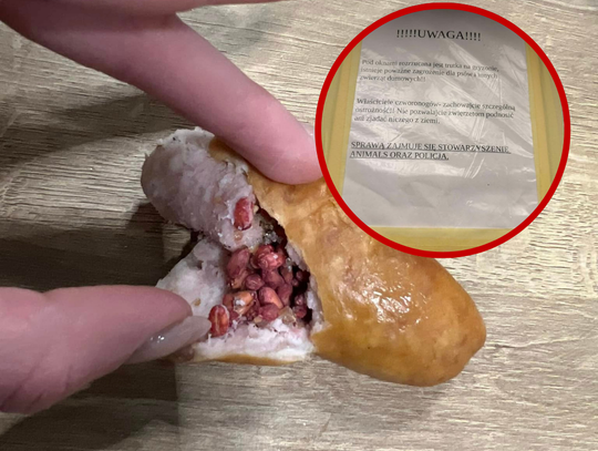 Trutki w kiełbasie na kaliskim osiedlu! Znowu ktoś to robi!