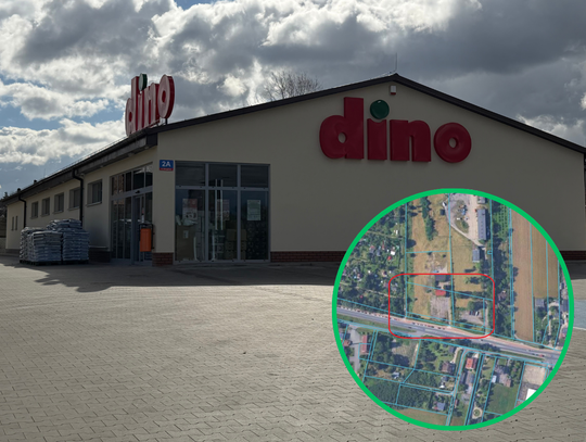 Trzecie Dino na jednym osiedlu. Inwestor polubił tę okolicę