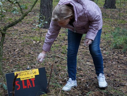 Tym seniorzy zawstydzają młodzież! Z korzyścią dla zdrowia i lasu ZDJĘCIA