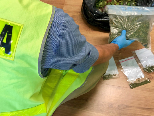 TYSIĄCE dawek narkotyków i recydywa. Sąd nie miał litości