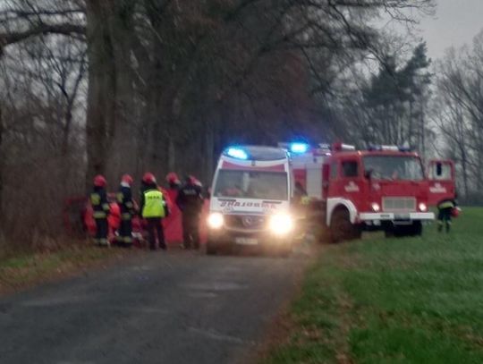 Uderzyła w drzewo, nie żyje ZDJĘCIA