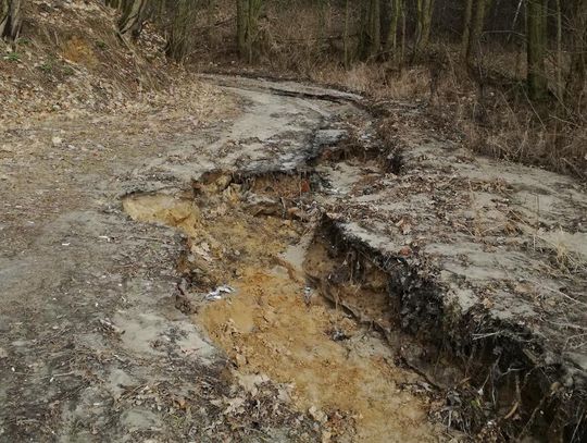 Ul. Toporowa i Tarczowa. Najgorsze drogi w mieście? ZDJĘCIA